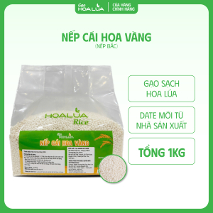 Nếp Cái Hoa Vàng