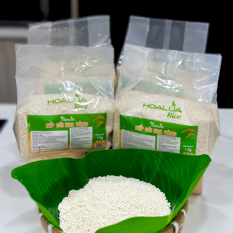 Nếp Cái Hoa Vàng (Nếp Bắc) - Dẻo mềm, thơm ngon đặc trưng - Túi 1Kg Nếp Cái Hoa Vàng (Nếp Bắc) - Dẻo mềm, thơm ngon đặc trưng - Túi 1Kg
