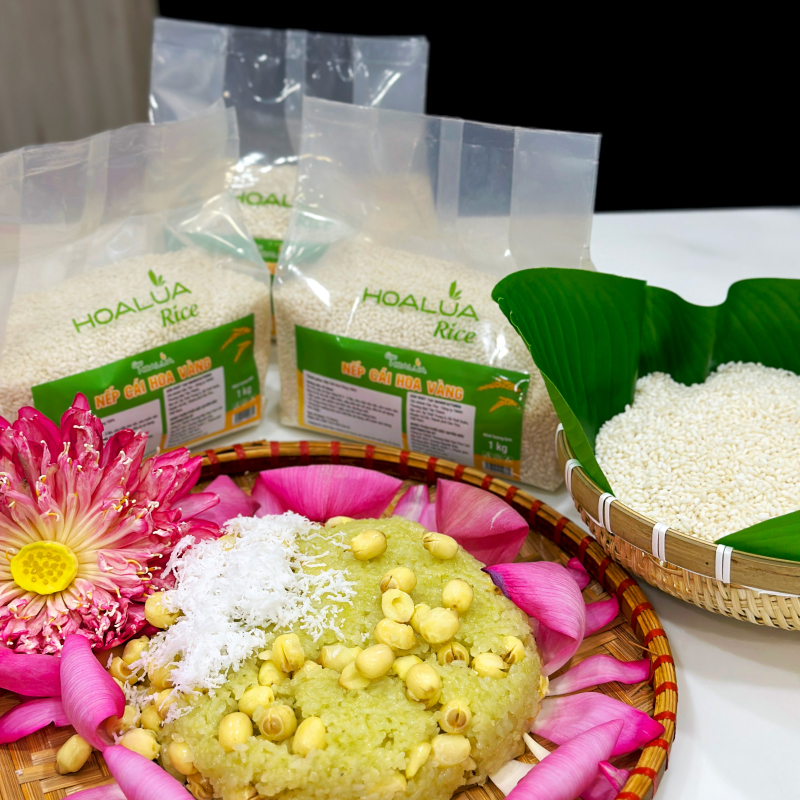 Nếp Cái Hoa Vàng (Nếp Bắc) - Dẻo mềm, thơm ngon đặc trưng - Túi 1Kg Nếp Cái Hoa Vàng (Nếp Bắc) - Dẻo mềm, thơm ngon đặc trưng - Túi 1Kg