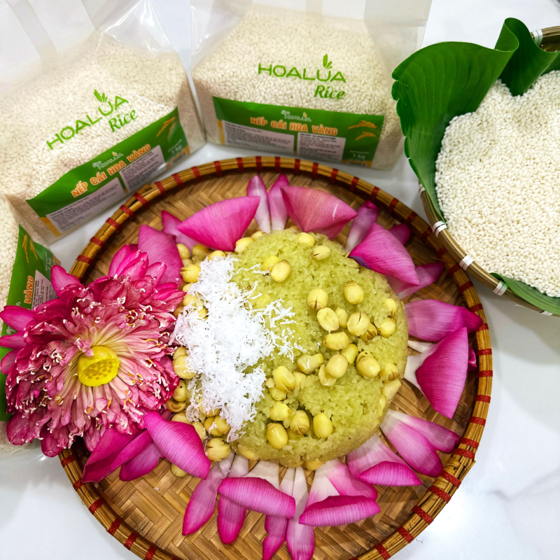Nếp Cái Hoa Vàng (Nếp Bắc) - Dẻo mềm, thơm ngon đặc trưng - Túi 1Kg Nếp Cái Hoa Vàng (Nếp Bắc) - Dẻo mềm, thơm ngon đặc trưng - Túi 1Kg
