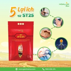 5 LỢI ÍCH KHÔNG NGỜ TỪ ST25 5 LỢI ÍCH KHÔNG NGỜ TỪ ST25