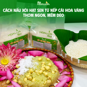 Cách nấu xôi hạt sen từ Nếp Cái Hoa Vàng thơm ngon, mềm dẻo