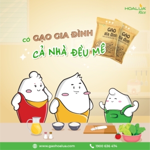 CÓ GẠO GIA ĐÌNH - CẢ NHÀ ĐỀU MÊ CÓ GẠO GIA ĐÌNH - CẢ NHÀ ĐỀU MÊ