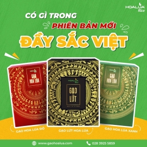 CÓ GÌ TRONG PHIÊN BẢN MỚI ĐẦY SẮC VIỆT?