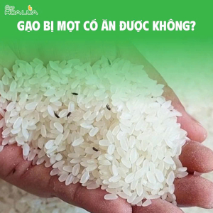 Gạo bị mọt có ăn được không? 3 cách xử lý sạch mọt và mẹo bảo quản gạo chuẩn chuyên gia