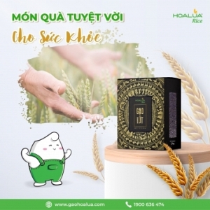 GẠO LỨT HOA LÚA - MÓN QUÀ TUYỆT VỜI CHO SỨC KHỎE GẠO LỨT HOA LÚA - MÓN QUÀ TUYỆT VỜI CHO SỨC KHỎE