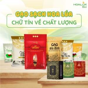GẠO SẠCH HOA LÚA - CHỮ TÍN VỀ CHẤT LƯỢNG GẠO SẠCH HOA LÚA - CHỮ TÍN VỀ CHẤT LƯỢNG