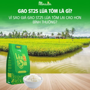 Gạo ST25 Lúa Tôm là gì? Vì sao giá gạo ST25 Lúa Tôm lại cao hơn bình thường?