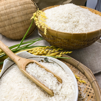 Gạo ST25 Lúa Tôm túi 5kg Gạo ST25 Lúa Tôm túi 5kg