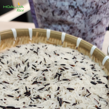 GẠO ST25 LỨT TÍM DẺO MỀM, THƠM NGON, GIÀU DINH DƯỠNG (Túi 2Kg) GẠO ST25 LỨT TÍM DẺO MỀM, THƠM NGON, GIÀU DINH DƯỠNG (Túi 2Kg)