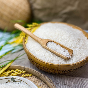 [GSM] GẠO ST25 HOA LÚA DẺO NHIỀU, MỀM CƠM, THƠM ĐẶC TRƯNG (Túi 5Kg)