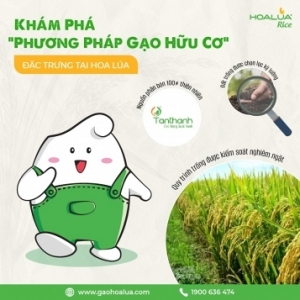 KHÁM PHÁ "PHƯƠNG PHÁP GẠO HỮU CƠ" ĐẶC TRƯNG TẠI HOA LÚA KHÁM PHÁ "PHƯƠNG PHÁP GẠO HỮU CƠ" ĐẶC TRƯNG TẠI HOA LÚA