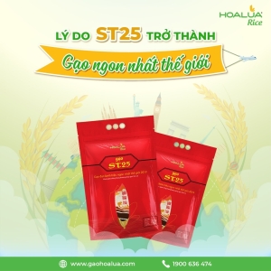 LÝ DO ST25 TRỞ THÀNH GẠO NGON NHẤT THẾ GIỚI LÝ DO ST25 TRỞ THÀNH GẠO NGON NHẤT THẾ GIỚI