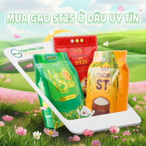 Mua gạo ST25 ở đâu uy tín? Gợi ý địa chỉ đang tin cậy cho người tiêu dùng