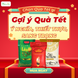 Nên chọn quà gì tặng dịp cuối năm? Gợi ý quà tết ý nghĩa, thiết thực và sang trọng