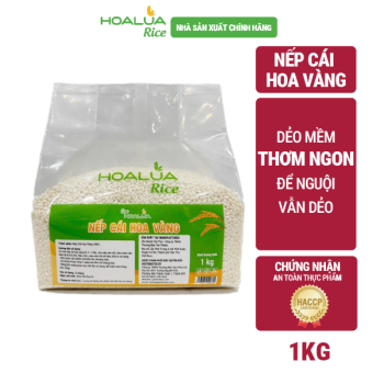 Nếp Cái Hoa Vàng (Nếp Bắc) - Dẻo mềm, thơm ngon đặc trưng - Túi 1Kg Nếp Cái Hoa Vàng (Nếp Bắc) - Dẻo mềm, thơm ngon đặc trưng - Túi 1Kg