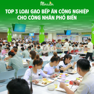 Top 3 loại gạo bếp ăn công nghiệp cho công nhân phổ biến